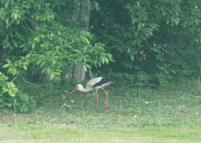 Lounamatkad Kamp Kiidjarve