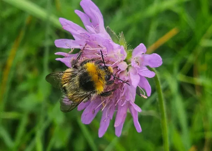 Lounamatkad * Kiidjärve
